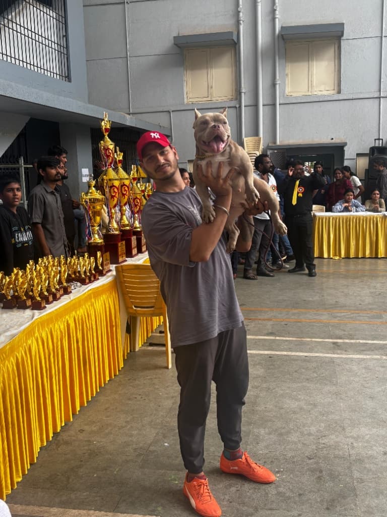 Nilesh Pawar with American Bully Master and Awards